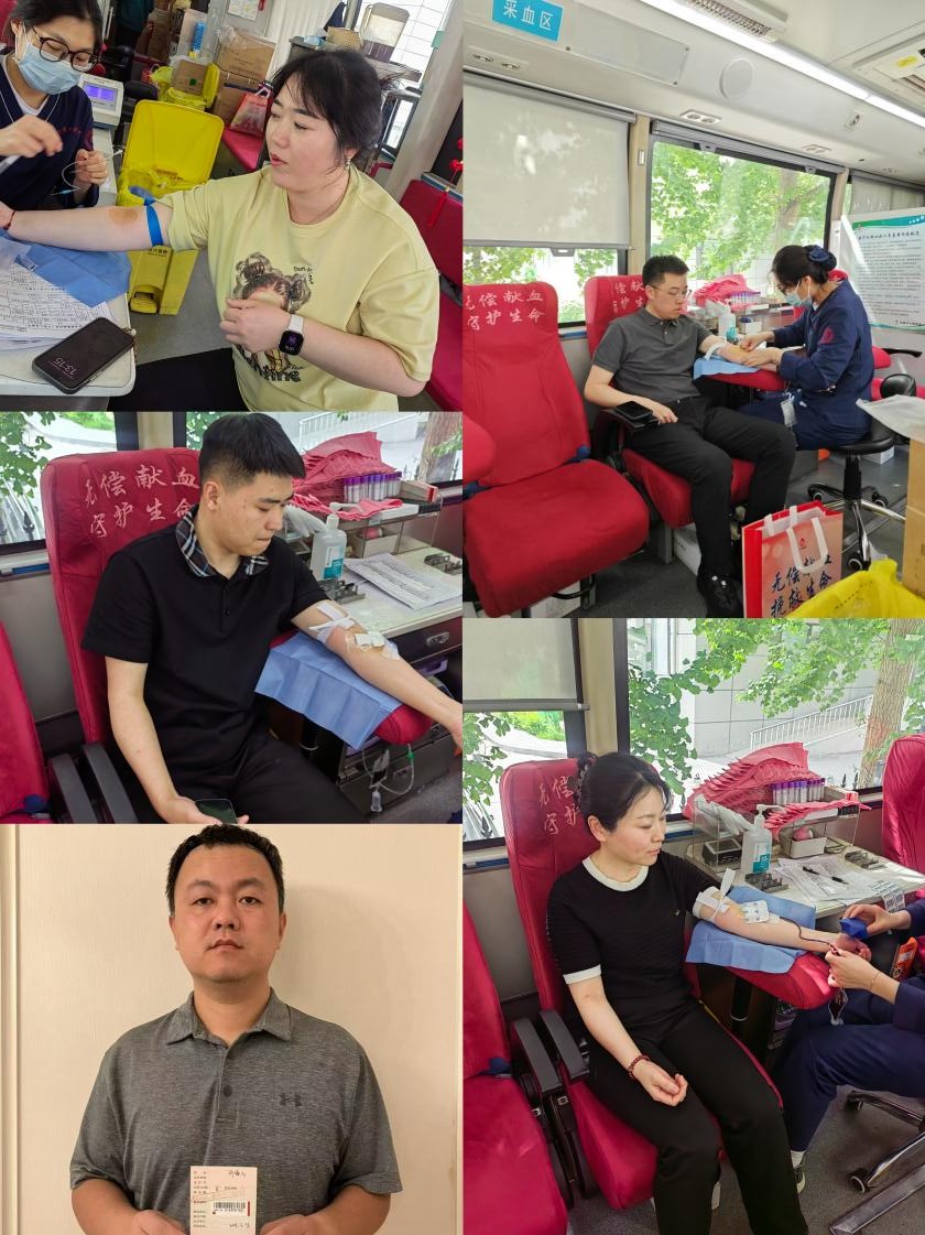 赌网
