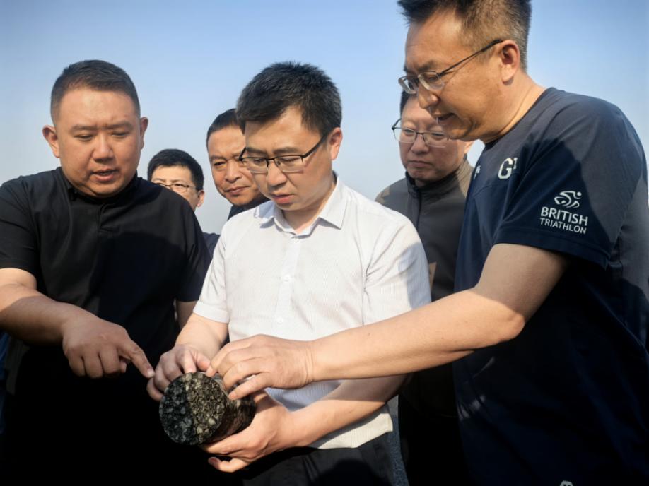 赌网