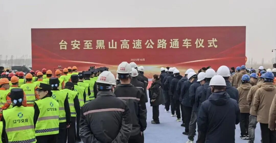 赌网