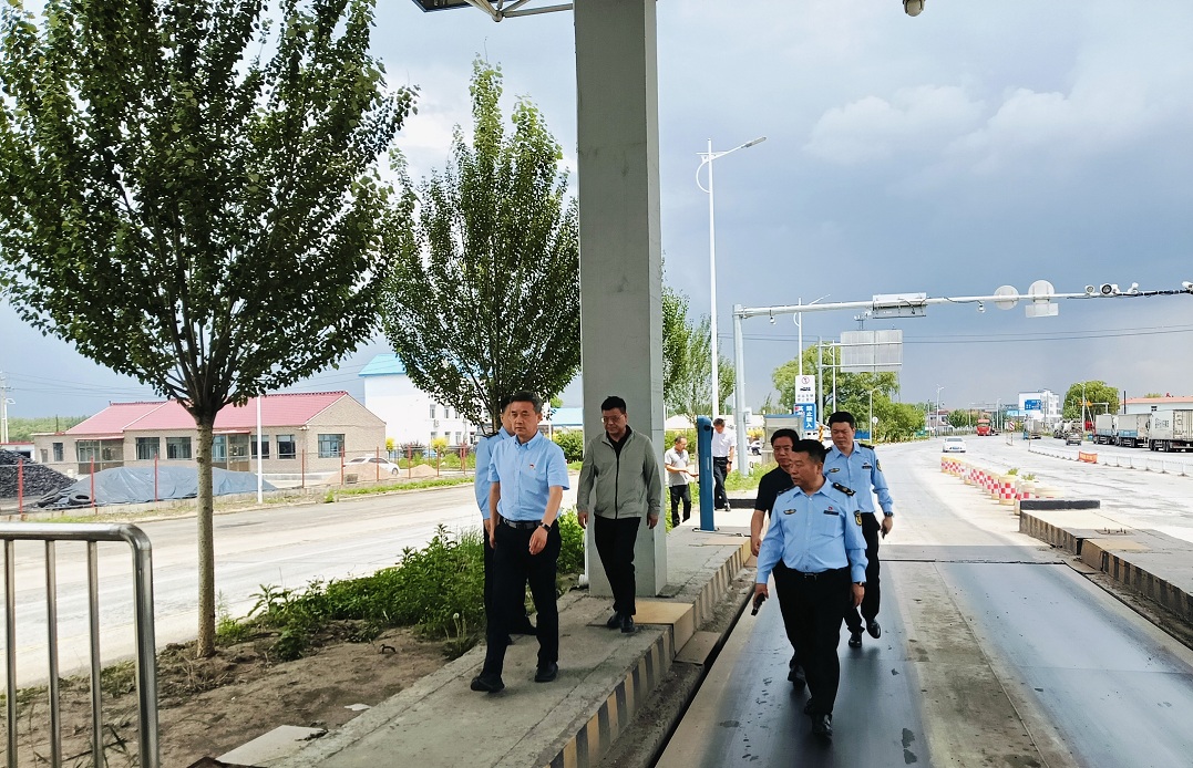 赌网